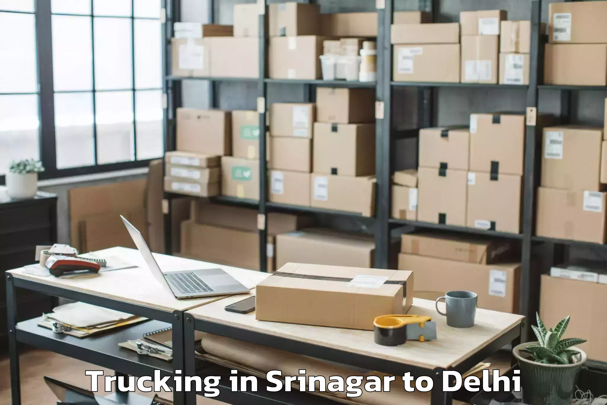 Book Srinagar to Indira Gandhi International Ai Trucking Online